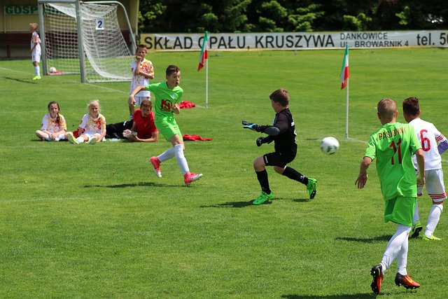 在其中学习 在其中学习