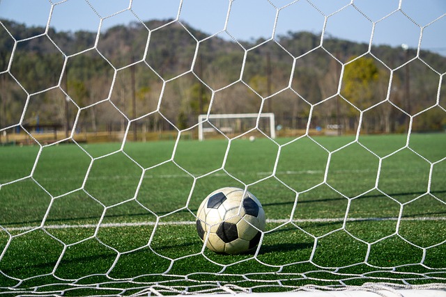 这项赛事不 这项赛事不