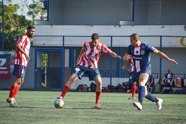 个职业运动 个职业运动